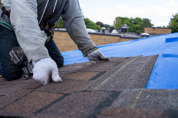 Best Emergency Roof Repair  in Wellsburg, WV