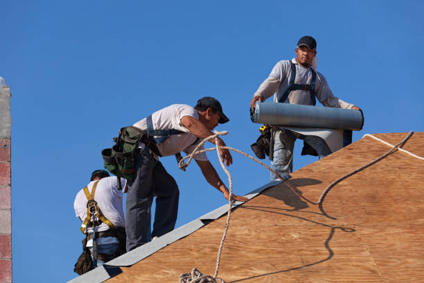 Best Shingle Roofing Installation  in Wellsburg, WV